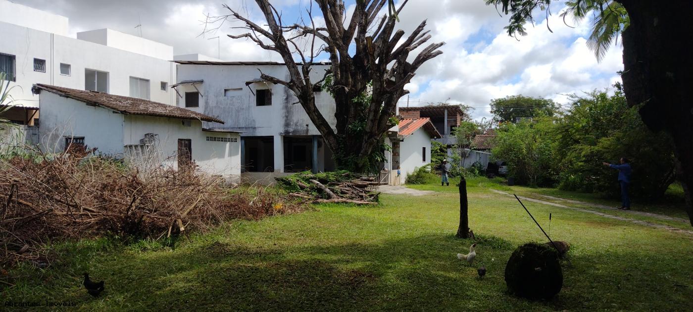 Casa à venda com 1 quarto, 3000m² - Foto 13