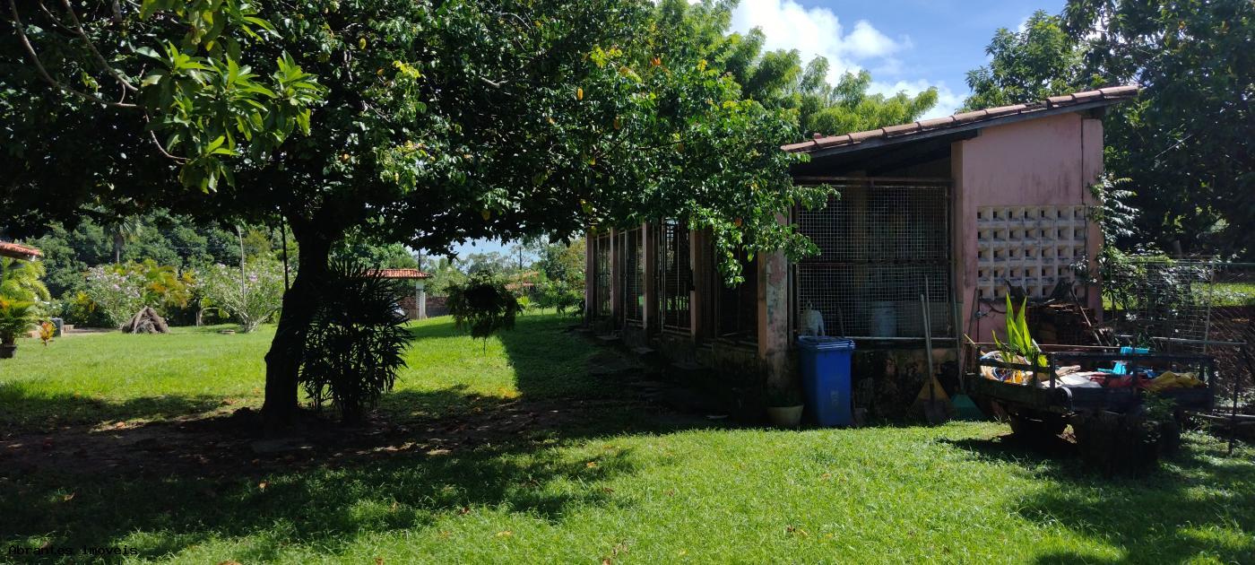 Chácara à venda com 3 quartos, 4200m² - Foto 4