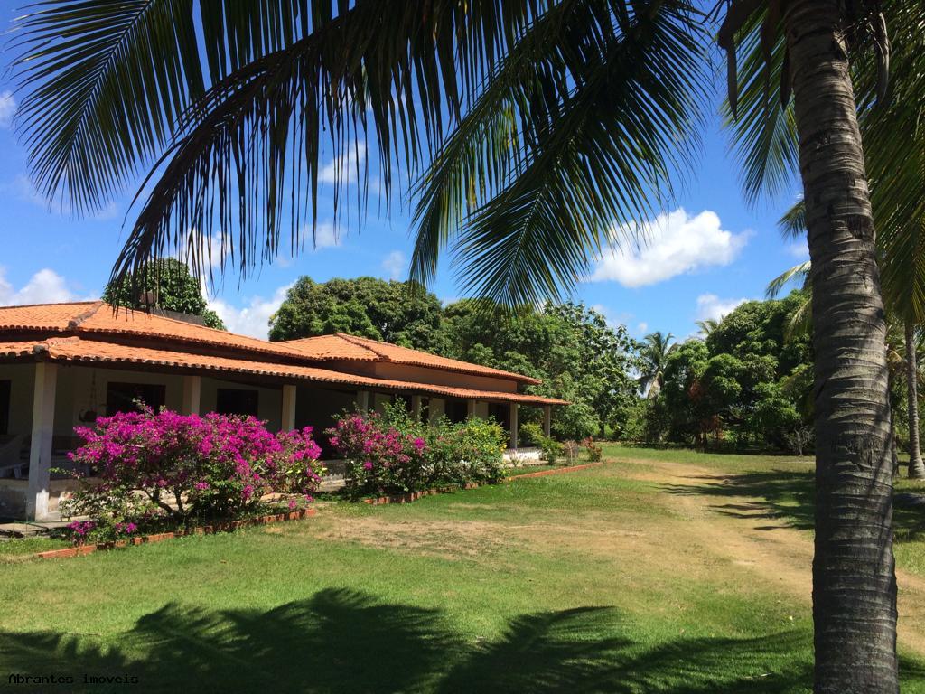 Chácara à venda com 4 quartos, 10000m² - Foto 5