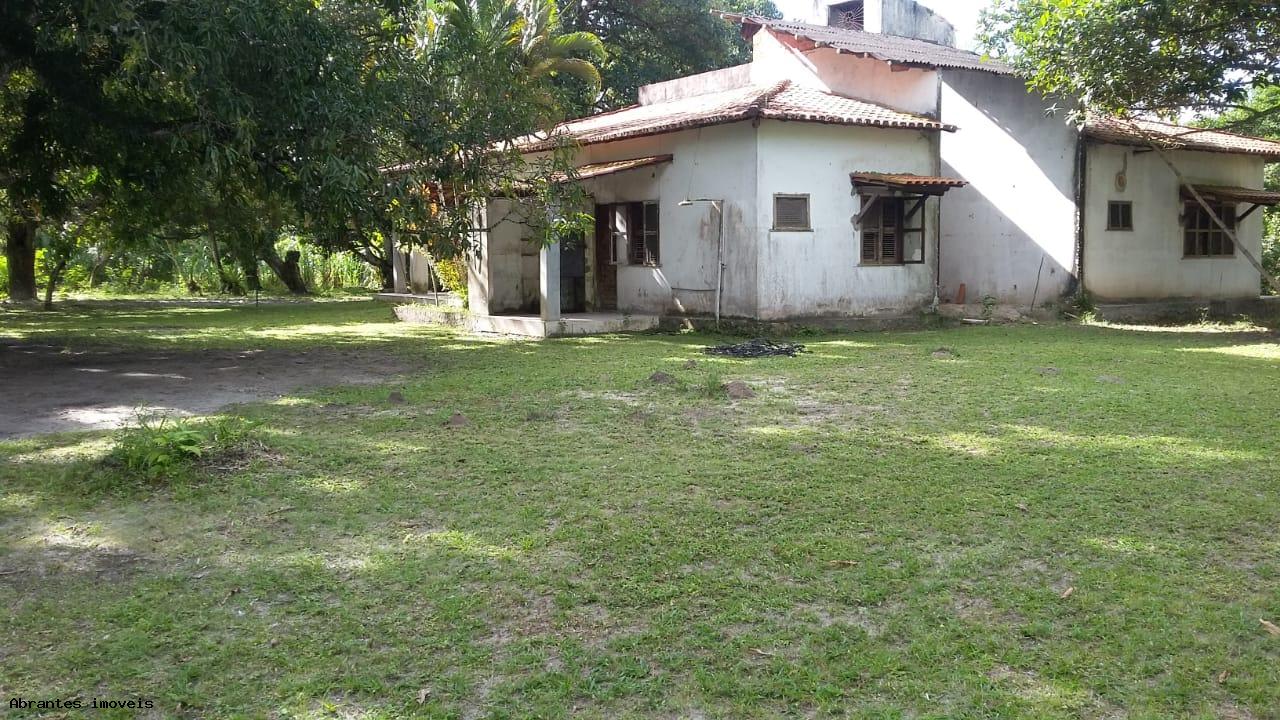 Chácara à venda, 10000m² - Foto 1