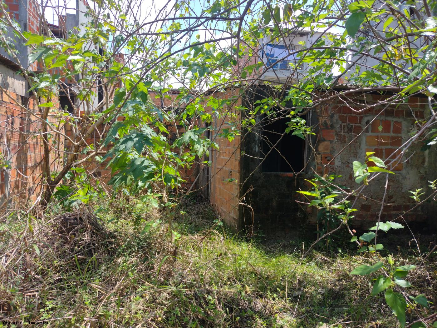 Casa à venda com 1 quarto, 100m² - Foto 5