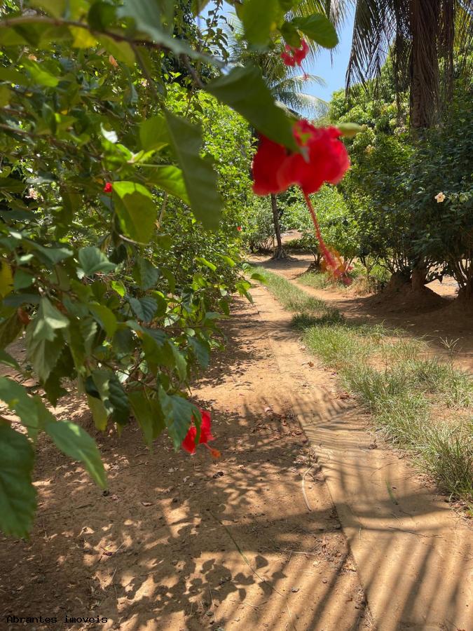 Chácara à venda com 2 quartos, 5000m² - Foto 10