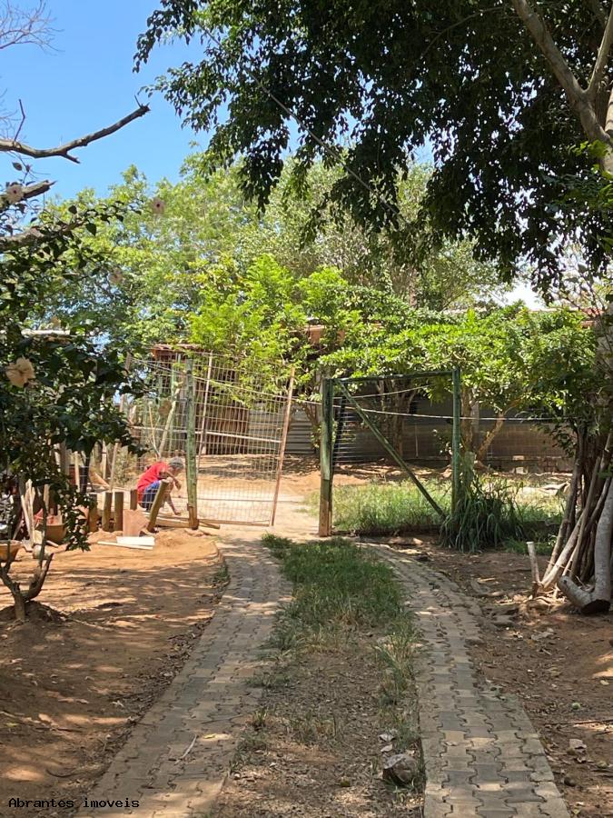 Chácara à venda com 2 quartos, 5000m² - Foto 11